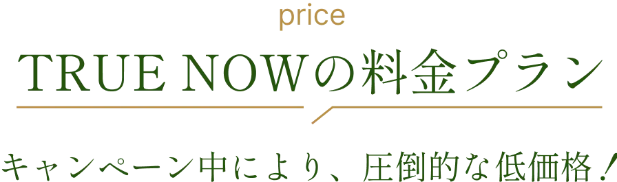 TRUE NOWの料金プラン