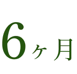 6ヶ月