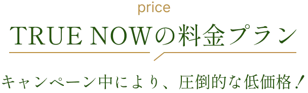 TRUE NOWの料金プラン