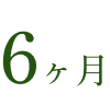 6ヶ月