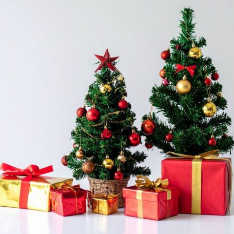 🎄 クリスマスを一緒に過ごすお相手、見つけませんか？